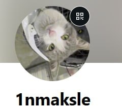 1nmaksle профиль